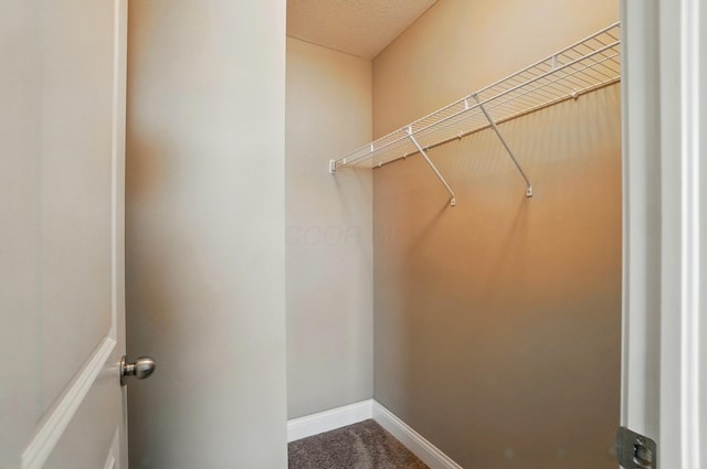 spacious closet featuring carpet flooring