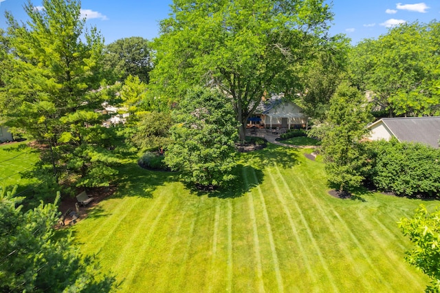 4318 Lyon Dr, Upper Arlington, OH 43220 - view of green lawn