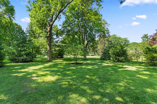 4318 Lyon Dr, Upper Arlington, OH 43220 - view of yard