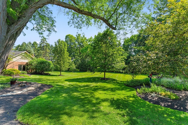 4318 Lyon Dr, Upper Arlington, OH 43220 - view of green lawn