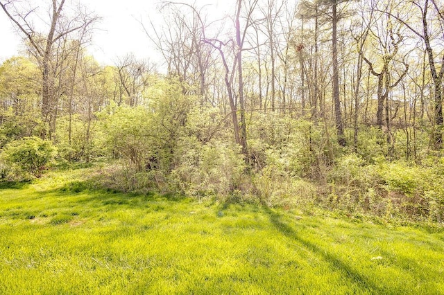 view of local wilderness featuring a view of trees