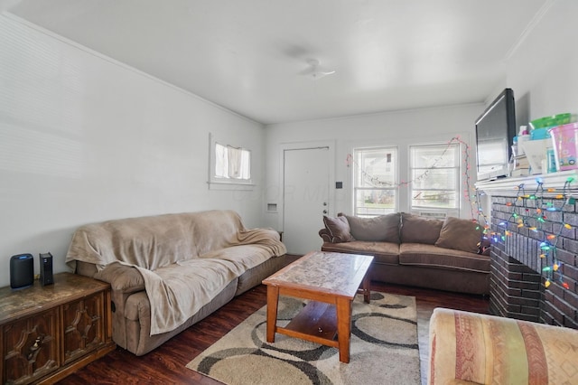 living room featuring ceiling fan, dark wood finished floors, and ornamental molding