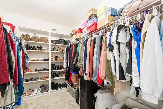walk in closet featuring carpet flooring