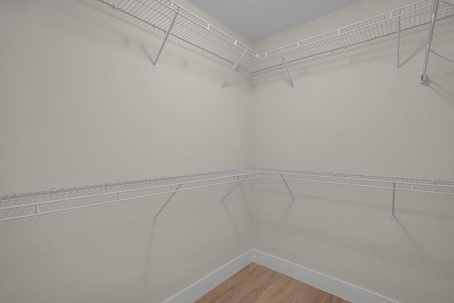 108 Cumberland Meadows Cir, Hebron, OH 43025 - walk in closet with light wood finished floors