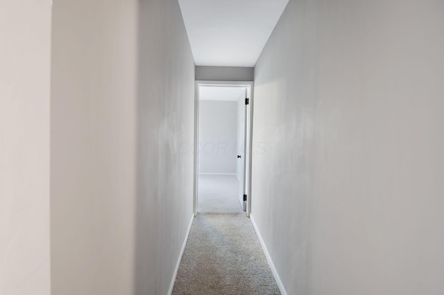 2575 Jordan Rd, Columbus, OH 43231 - hall with carpet floors and baseboards