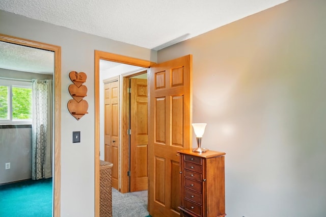 2680 Mellowbrook St, Columbus, OH 43232 - corridor with dark colored carpet and a textured ceiling