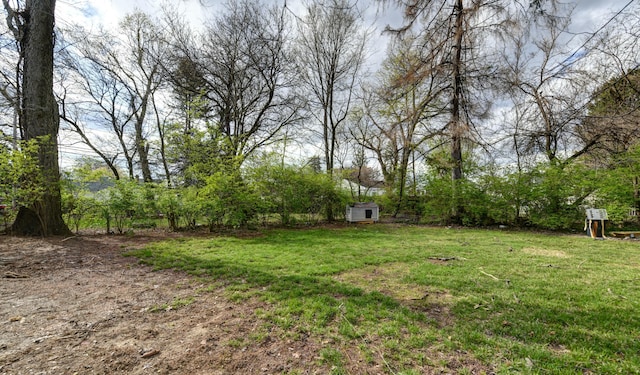 view of yard with an outdoor structure and a shed