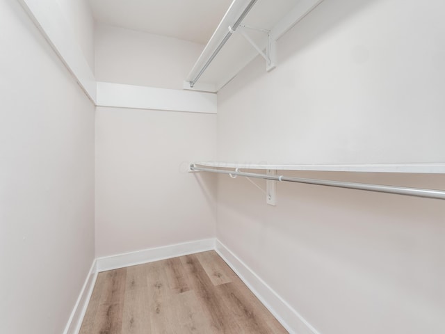 1620 E Broad St Unit 1106, Columbus, OH 43203 - walk in closet with light wood-style flooring