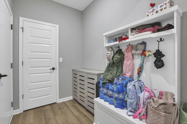 121 E Wind Rd, Delaware, OH 43015 - mudroom featuring baseboards and light wood-style flooring