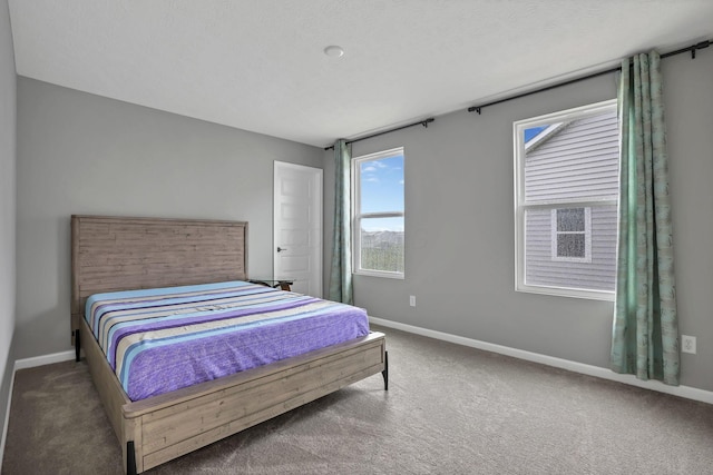 121 E Wind Rd, Delaware, OH 43015 - bedroom with baseboards and carpet floors