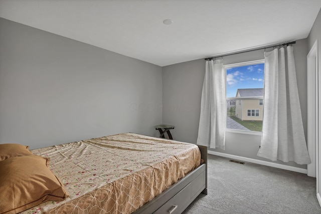 121 E Wind Rd, Delaware, OH 43015 - bedroom with baseboards, carpet flooring, and visible vents