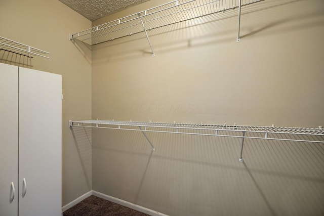 walk in closet featuring carpet