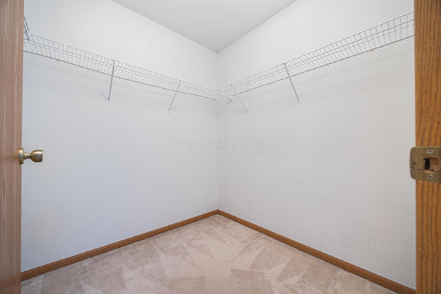 1418 Brookforest Dr, Columbus, OH 43204 - walk in closet featuring carpet floors