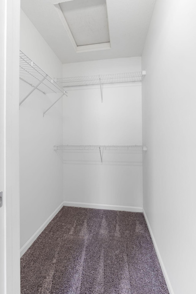 6516 Nottinghill Trail Dr, Canal Winchester, OH 43110 - walk in closet with attic access and carpet floors