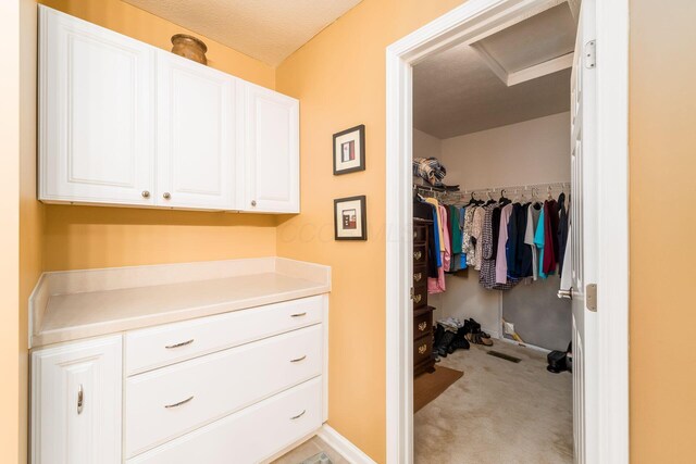 spacious closet with light carpet