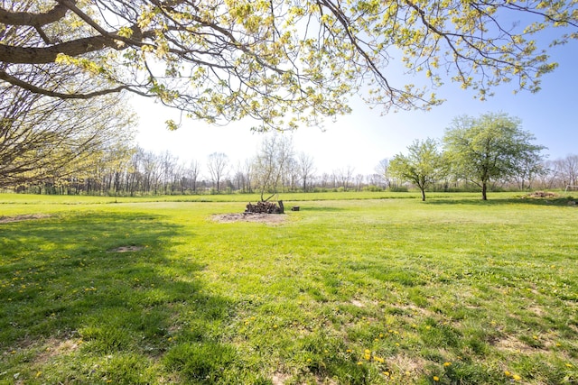 1191 Ostrander Rd, Ostrander, OH 43061 - photo 59