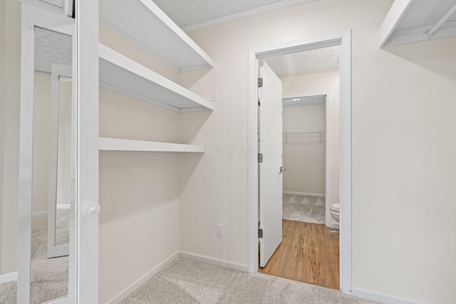 9222 Windy Creek Dr, Columbus, OH 43240 - spacious closet with carpet floors
