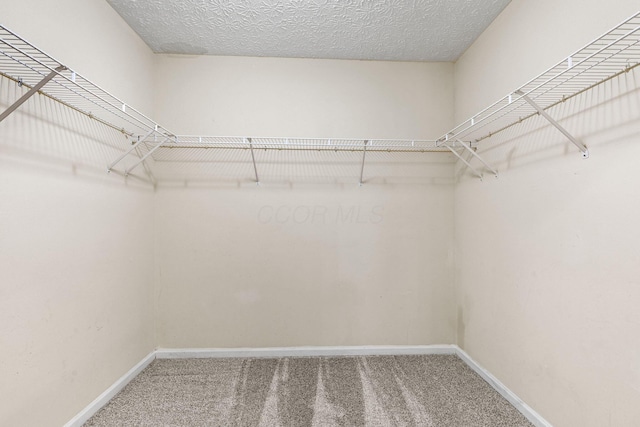 9222 Windy Creek Dr, Columbus, OH 43240 - walk in closet featuring carpet floors