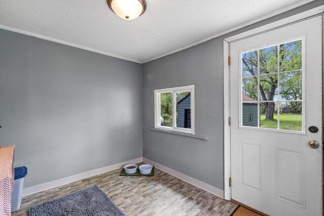 entryway featuring baseboards, wood finished floors, and a wealth of natural light