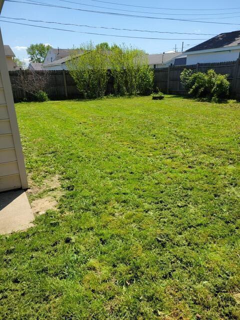 view of yard
