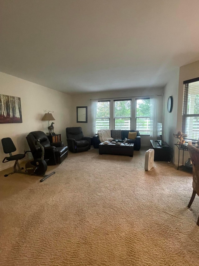 living area featuring carpet flooring