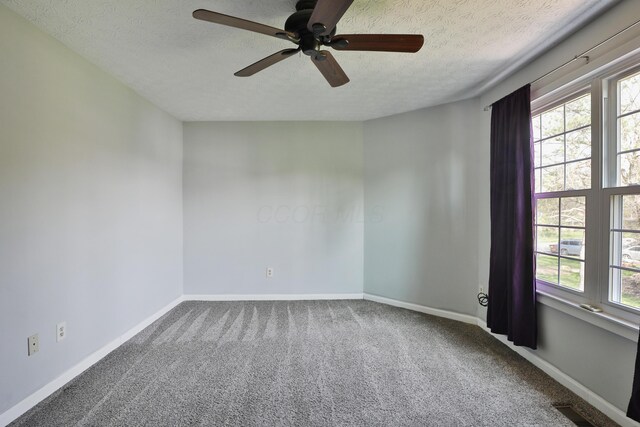 38 Ravine Ridge Dr S, Powell, OH 43065 - unfurnished room featuring visible vents, a wealth of natural light, carpet flooring, and a textured ceiling