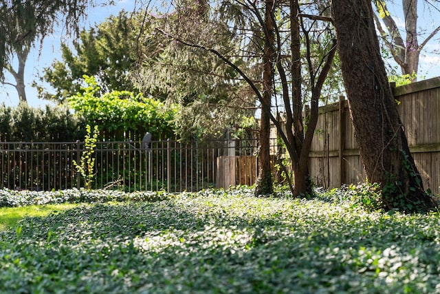 view of yard featuring a fenced backyard