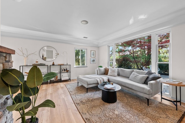 living room with visible vents and light wood-type flooring