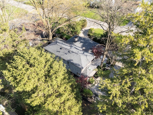 bird's eye view