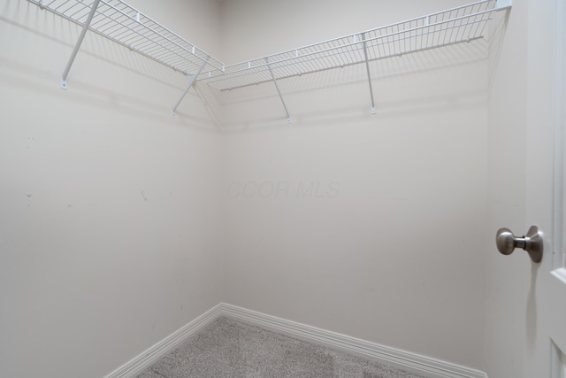 3941 Nordman Fir Dr, Grove City, OH 43123 - photo 29