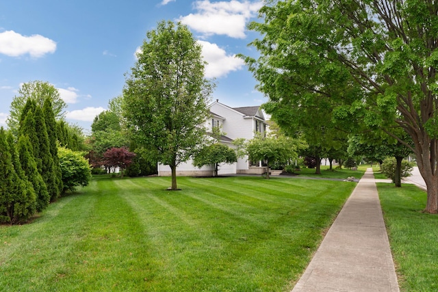3941 Nordman Fir Dr, Grove City, OH 43123 - photo 36