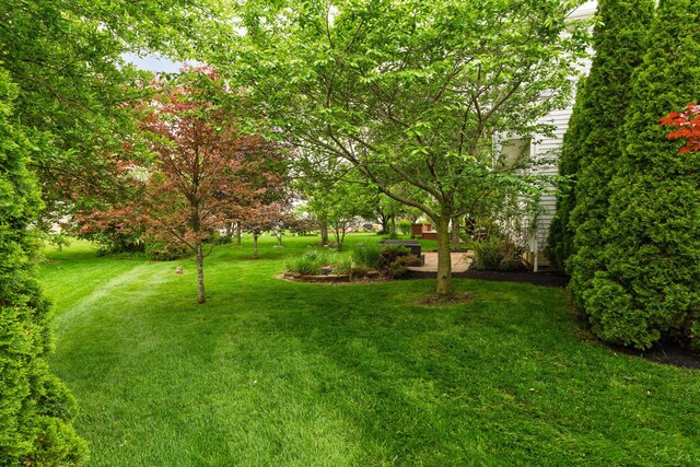 3941 Nordman Fir Dr, Grove City, OH 43123 - photo 37