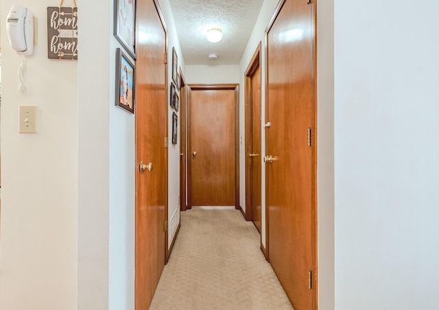 730 Erin St, Lewis Center, OH 43035 - corridor with a textured ceiling and light carpet