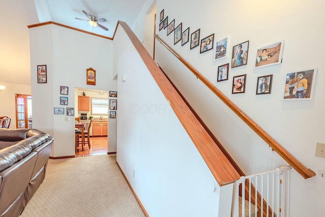 730 Erin St, Lewis Center, OH 43035 - staircase with high vaulted ceiling, ceiling fan, baseboards, and carpet flooring