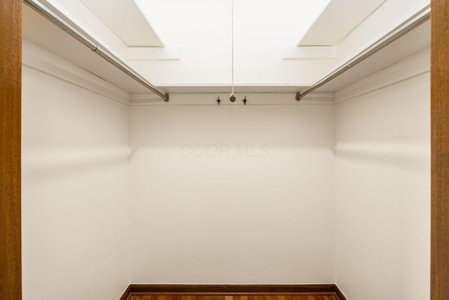 walk in closet featuring wood finished floors
