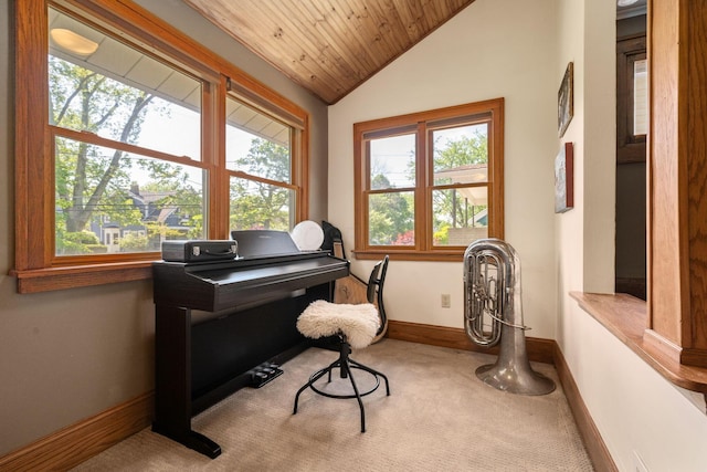 1397 Glenn Ave, Columbus, OH 43212 - living area with vaulted ceiling, wooden ceiling, baseboards, and carpet floors