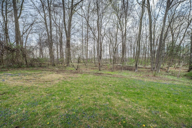 6181 Perry Rd, Centerburg, OH 43011 - view of yard