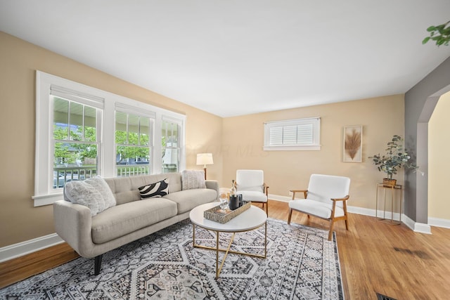 living room with baseboards, a healthy amount of sunlight, and wood finished floors