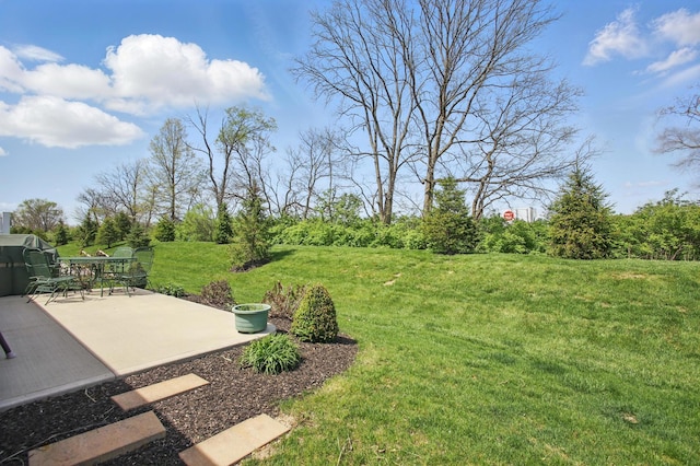 view of yard featuring a patio area