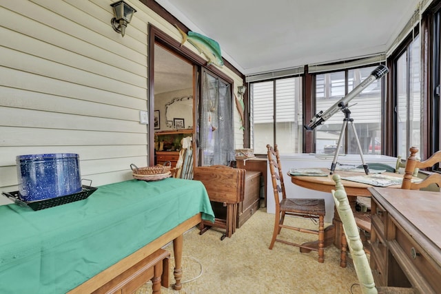 sunroom / solarium featuring carpet and wooden walls