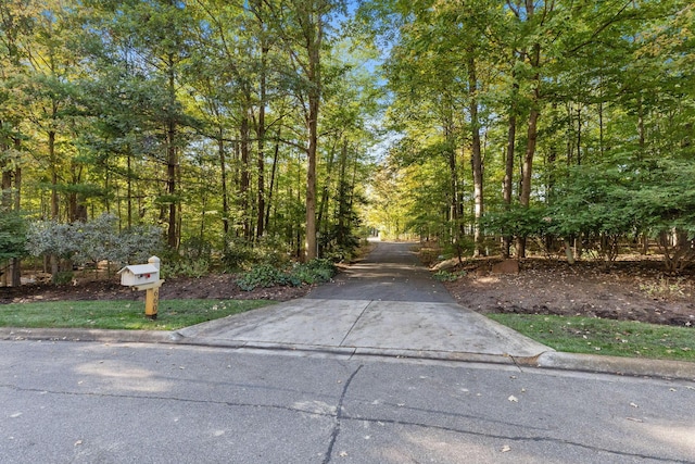660 Woods Hollow Ln, Powell, OH 43065 - view of road