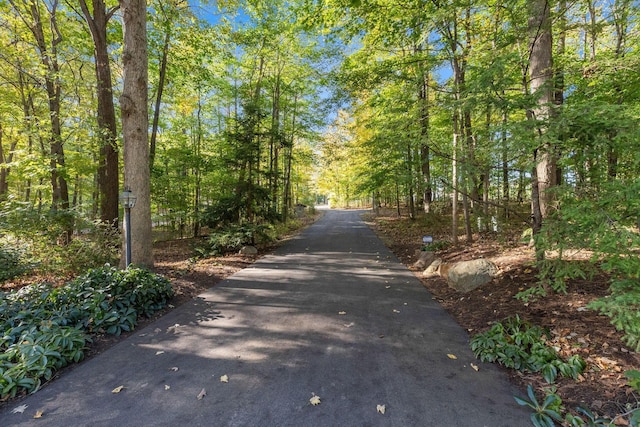 660 Woods Hollow Ln, Powell, OH 43065 - view of road