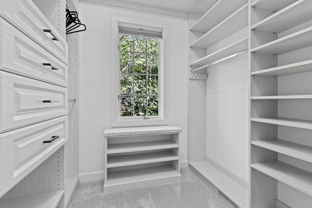660 Woods Hollow Ln, Powell, OH 43065 - view of walk in closet
