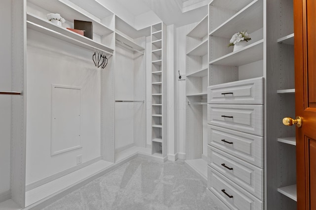 660 Woods Hollow Ln, Powell, OH 43065 - walk in closet with carpet flooring