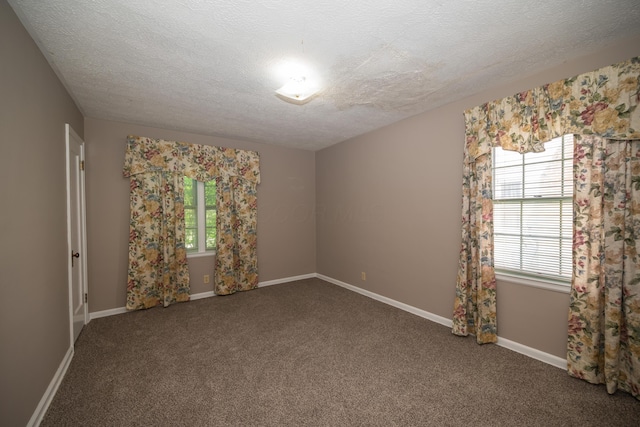 264 Merchant Ave, Marion, OH 43302 - empty room featuring carpet flooring, a textured ceiling, baseboards, and a wealth of natural light