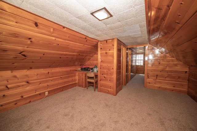 264 Merchant Ave, Marion, OH 43302 - bonus room featuring wooden walls, carpet floors, and lofted ceiling
