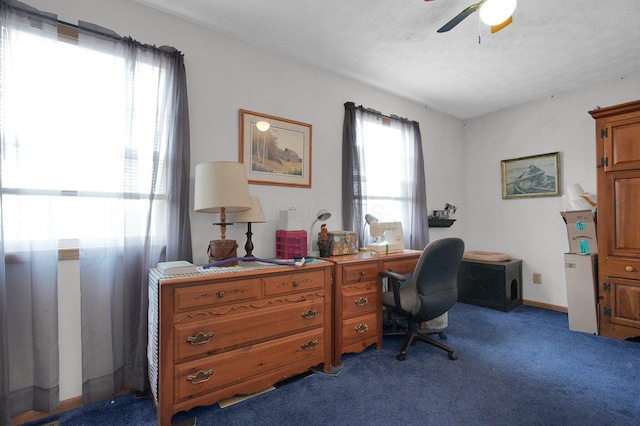 office featuring carpet flooring and a ceiling fan