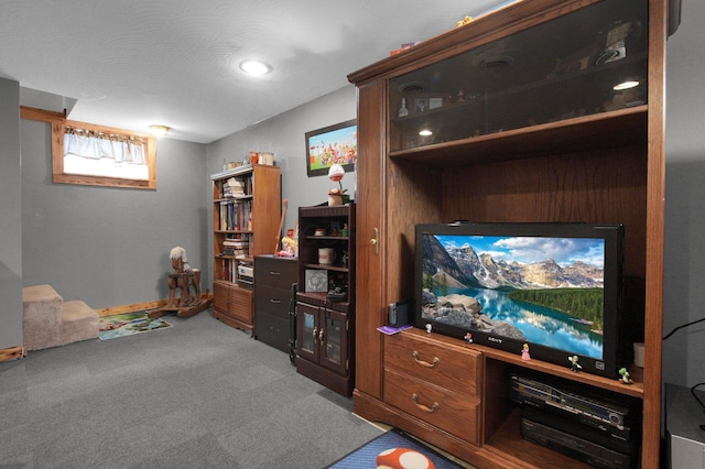 living area featuring carpet flooring