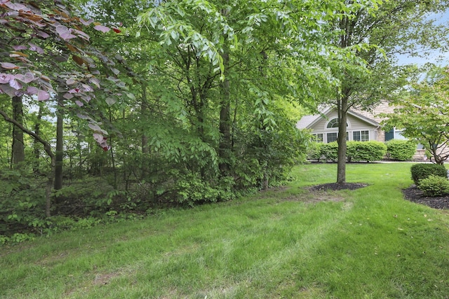 651 Albion Pl, Westerville, OH 43082 - view of grassy yard