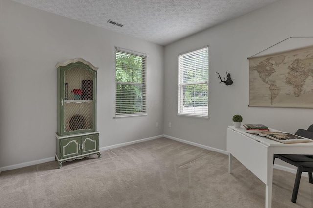 651 Albion Pl, Westerville, OH 43082 - office featuring plenty of natural light, carpet flooring, baseboards, and a textured ceiling